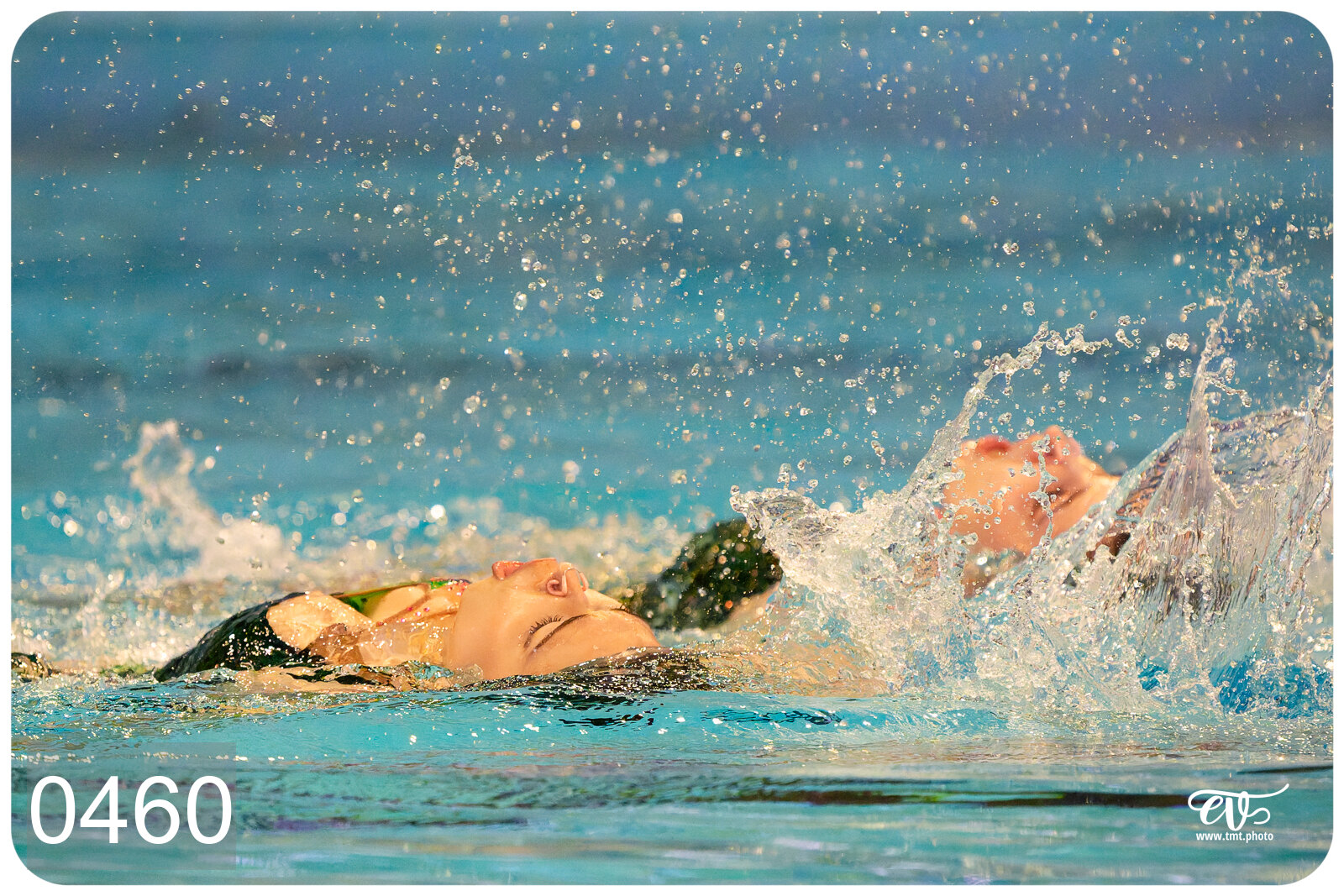 CHAMPIONNAT DE FRANCE DE NATATiON ARTISTIQUE N1 & ELITE 2026